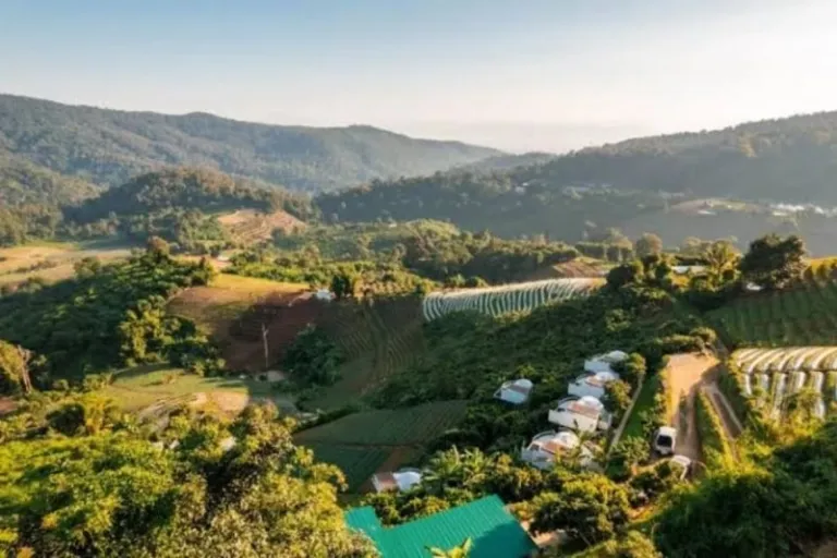 chiang mai glamping