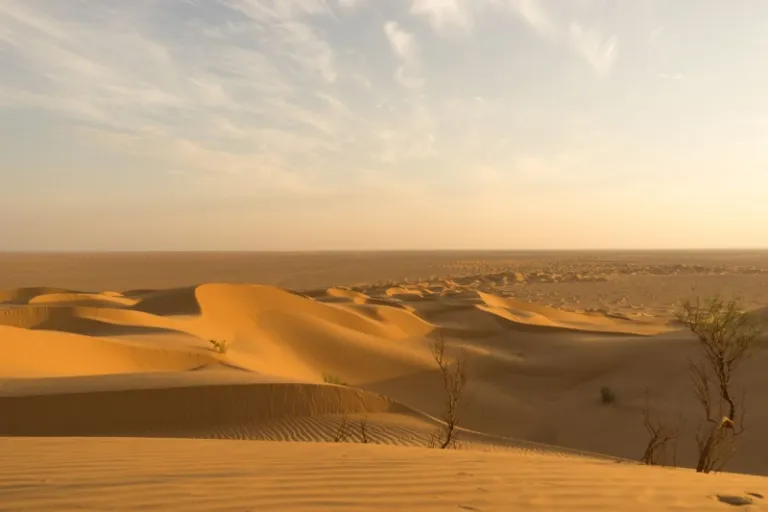 The Empty Quarter, Arabian Peninsula