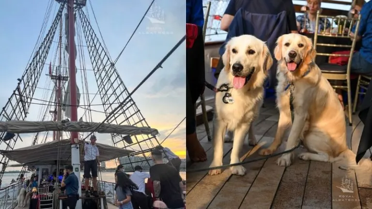 Royal Albatross Dog Cruise