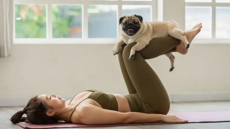 Dog yoga