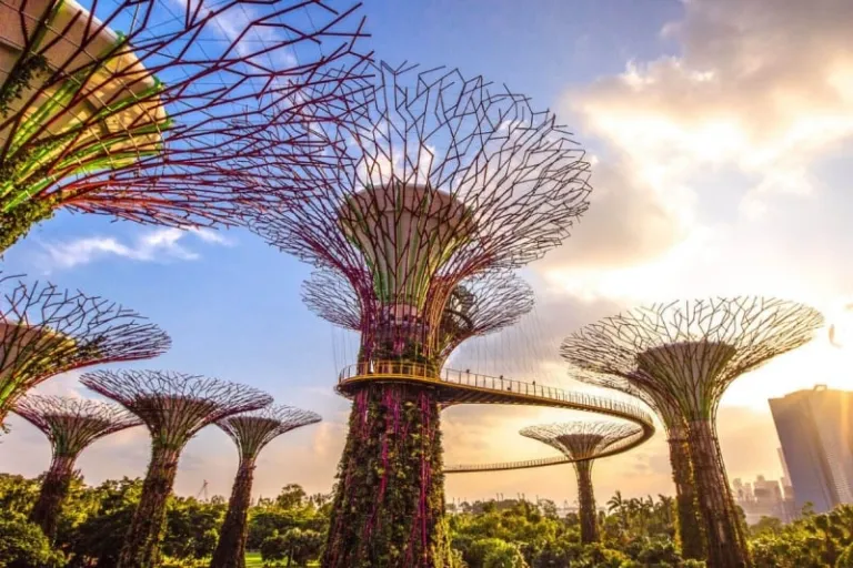 singapore gardens by the bay