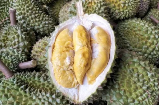 Image for article Sunway City JB Durian Carnival 2025: All-You-Can-Eat Buffet and S$8 Shuttle From Singapore