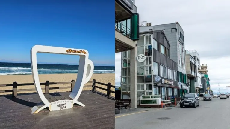 Anmok coffee street in Gangneung