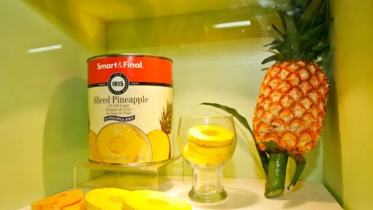 Pineapple museum in Pekan Nanas