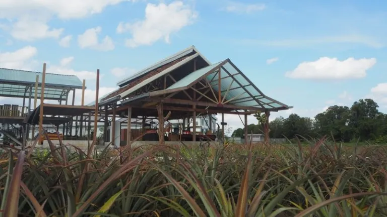 Nictar pineapple park