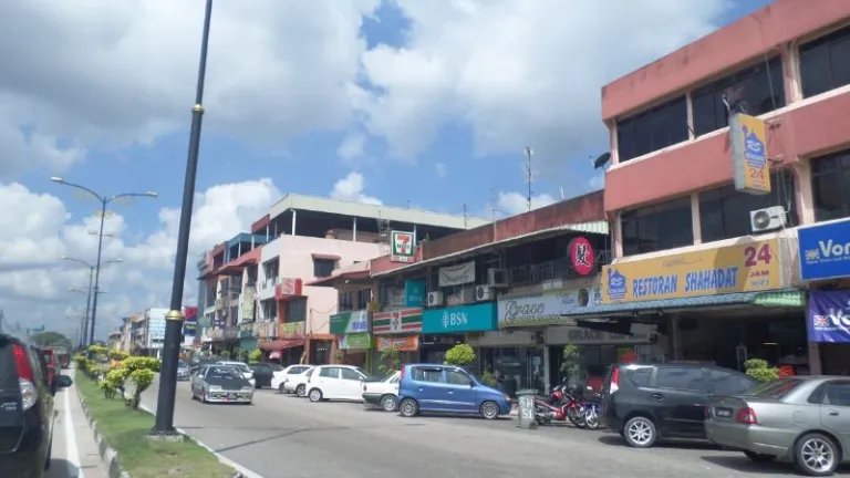 Pekan Nanas town
