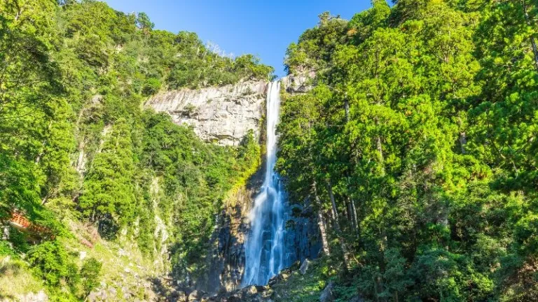 Nachi falls