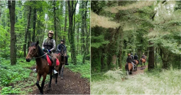 jeju horseback riding