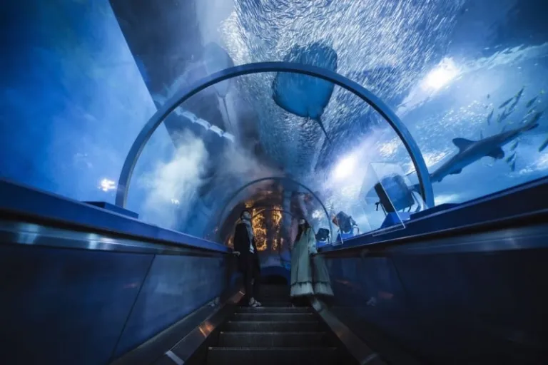 hakkejima sea paradise tokyo