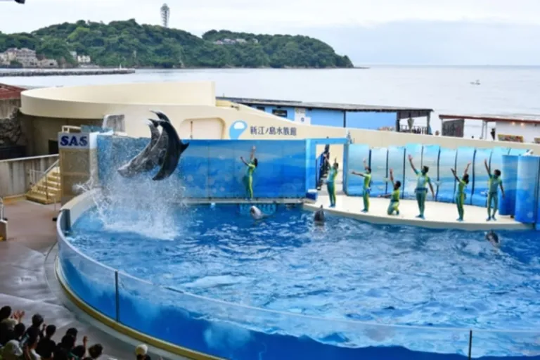 enoshima aquarium
