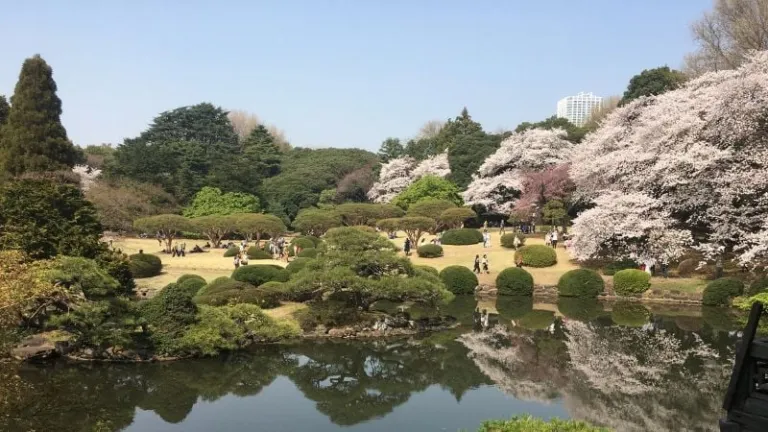 Yoyogi park in Tokyo