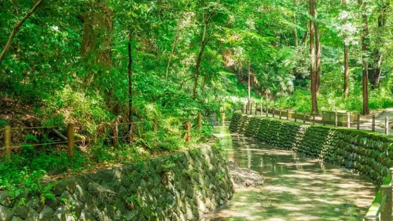 Todoroki Valley in Tokyo