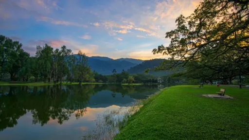 Image for article Top Things to Do in Taiping, Malaysia and Why it Deserves a Spot in Your Itinerary