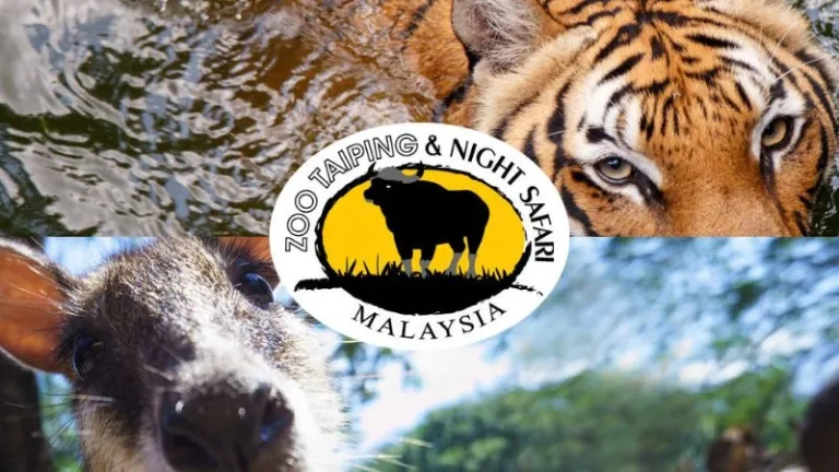 Zoo Taiping and Night Safari