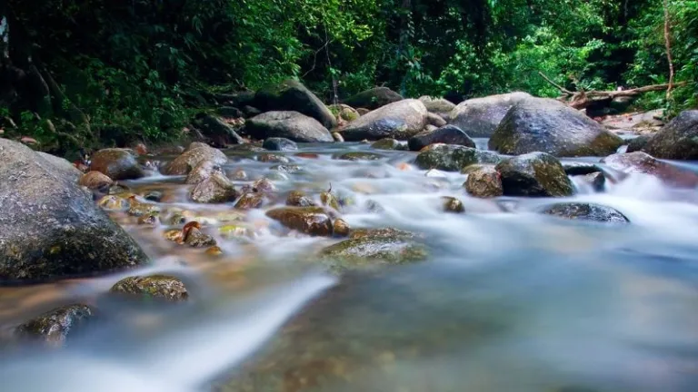 Burmese rock pool in Taiping