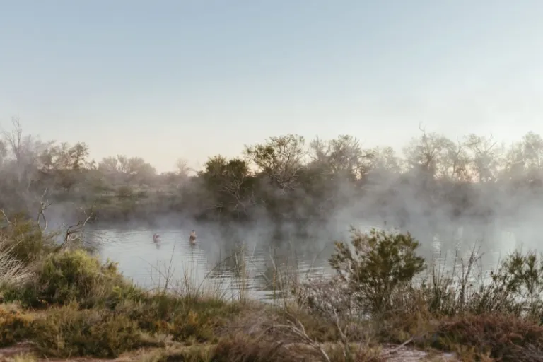 springs of Witjira National Park