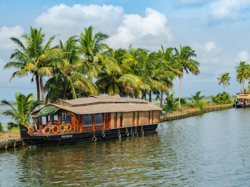 image for article Cruising Through Kerala’s Backwaters: A Traveler’s Dream