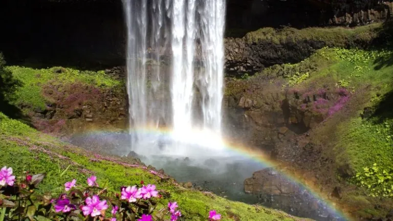 Bolaven plateau in Laos