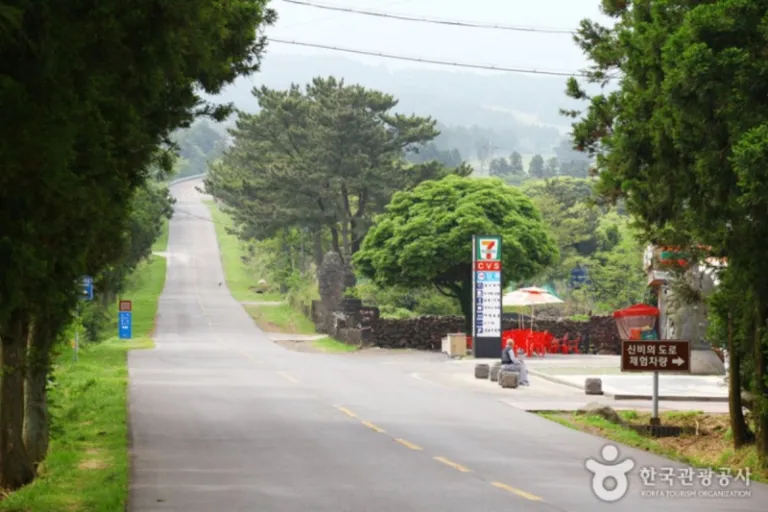 jeju mysterious road