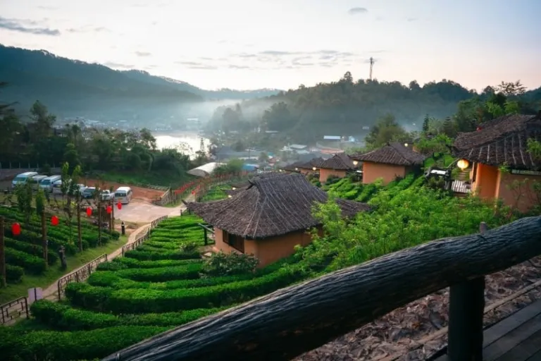 thailand rainy season
