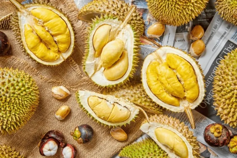 durian buffet singapore