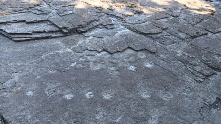 dinosaur footprints in Goseong Fossil Site, Korea
