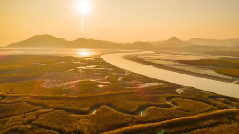 sun setting over Suncheon Bay Wetland Reserve