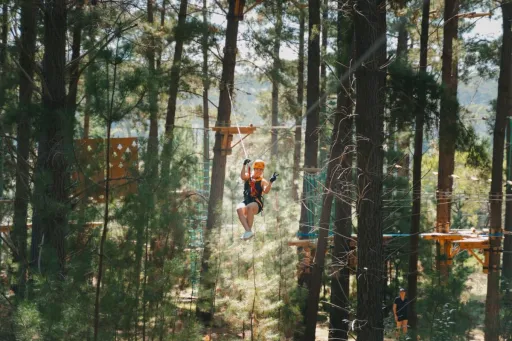 Image for article Bucket-list Family-Friendly Adventures in Australia for 2025: Animal Encounters, Pick Strawberries, and More!