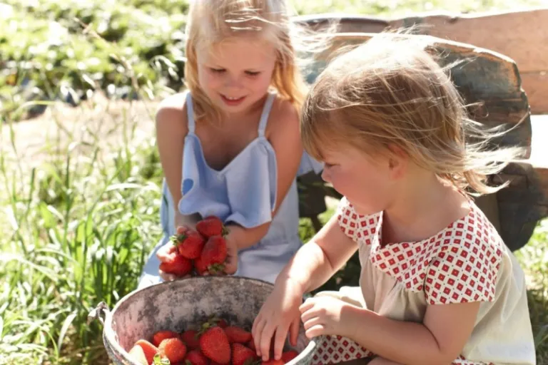 adelaide hills australia 