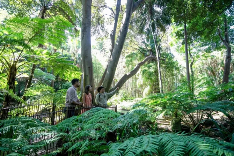 royal botanic gardens victoria