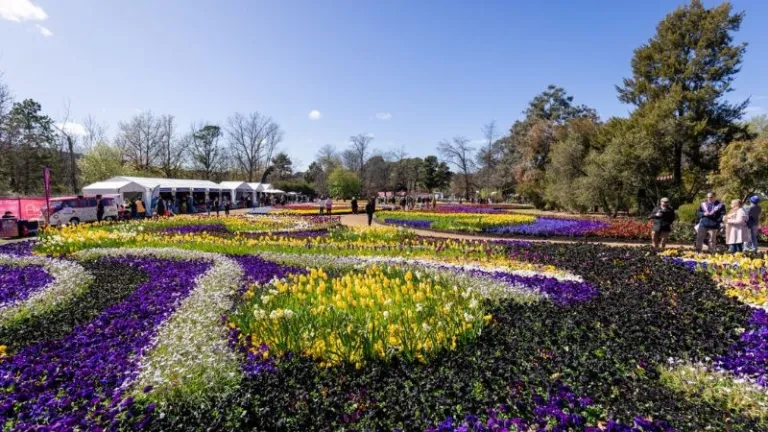 Floriade flower beds