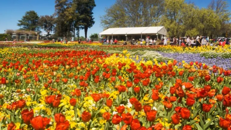 flower beds at floriade