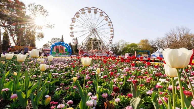 ferris wheel in Floriade