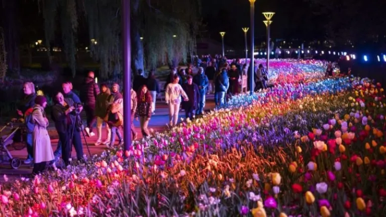 Floriade 2025 NightFest
