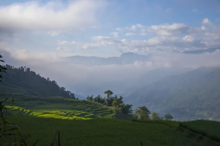sapa rice fields vietnam