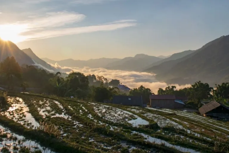 sapa sunrise