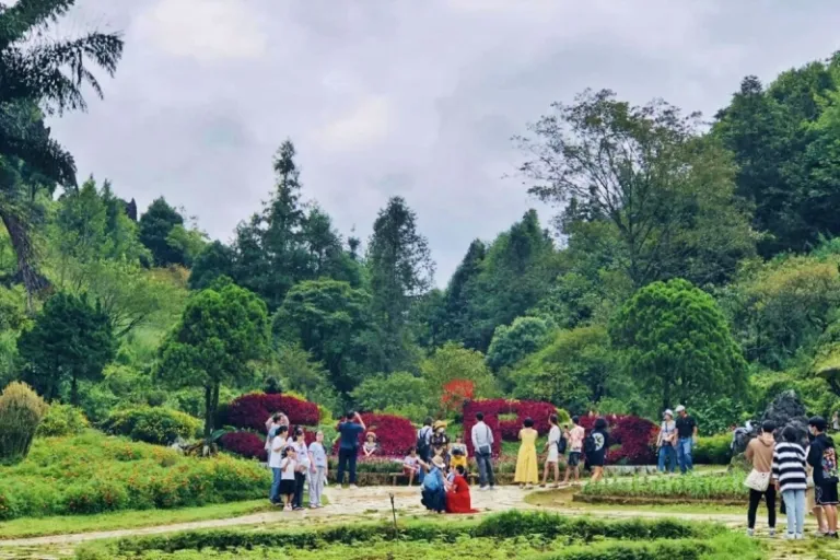 sapa ham rong mountain
