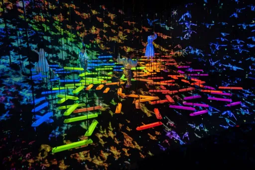 Image for article teamLab Planets Tokyo Guide: What to Expect and How to Prepare