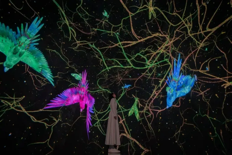 teamlab planets tokyo