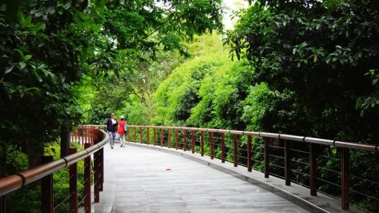 Gucheng park in Shanghai