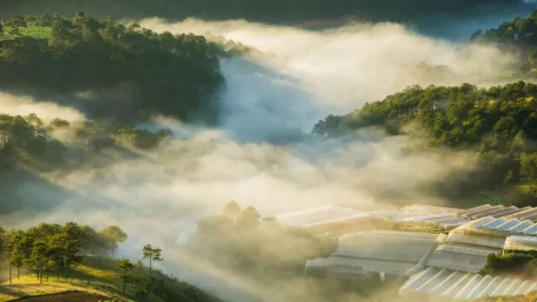 Da Lat city covered in thick mist