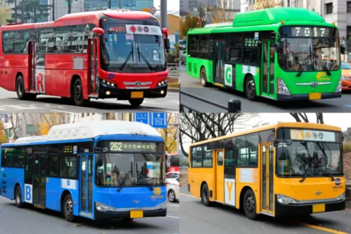 Image for article Seoul Bus Guide for Tourists: How to Ride, What the Colours Mean & Why It’s Worth It