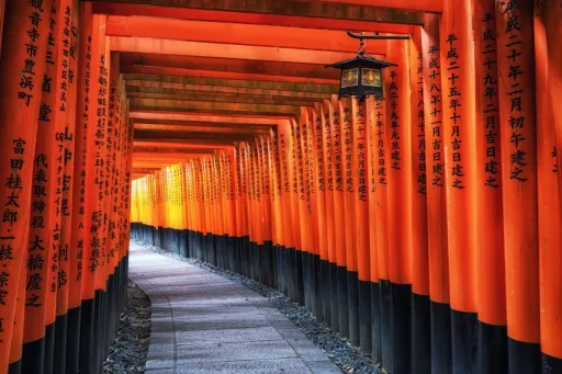 Image for article Fushimi Inari Shrine Guide: When to Visit, What to See & How to Explore