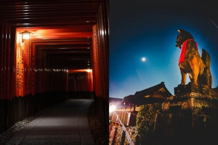 fushimi inari night