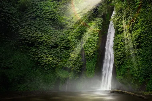 Image for article 10 Stunning Natural Wonders in Bali for Nature Lovers
