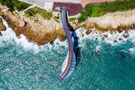 Image for article 10 Free Things to Do in Busan That Are Actually Worth Your Time (2025)