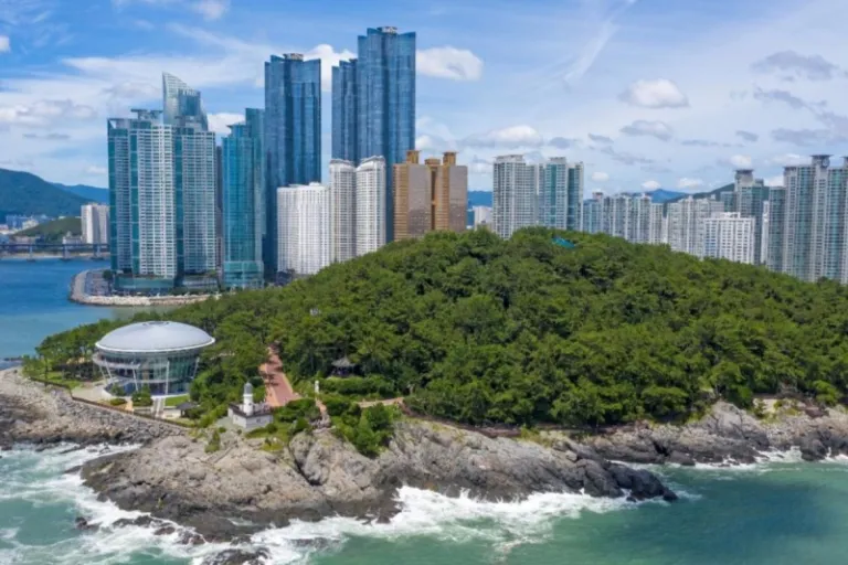 Dongbaekseom Island Walk