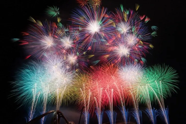 Toyota Oiden Festival