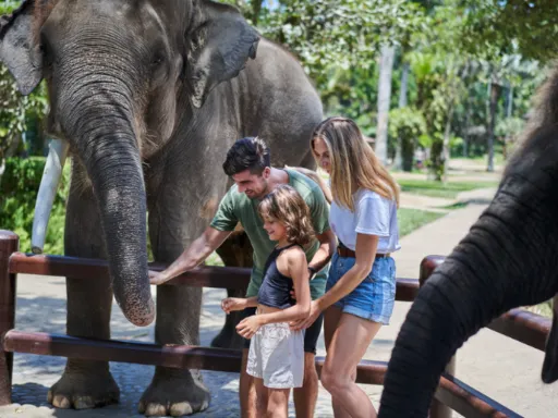 Image for article Best Places To Travel With Kids Near Singapore