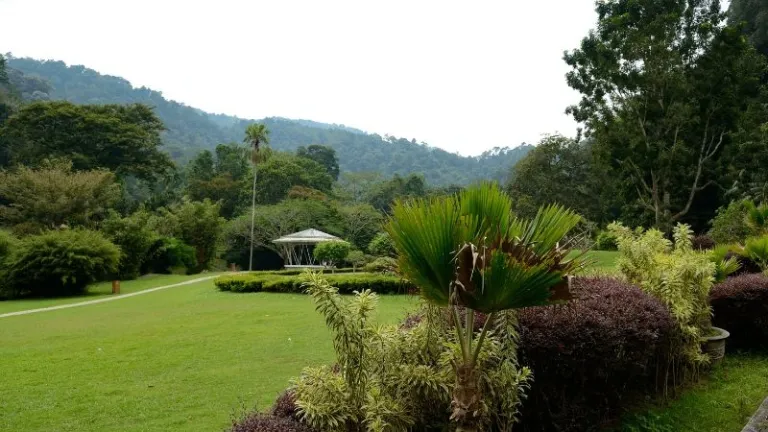 botanical gardens in Penang